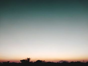 Silhouette trees against clear sky at night