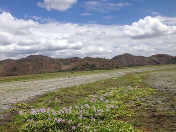 Scenic view of landscape against cloudy sky