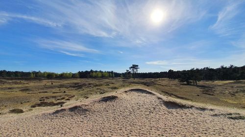 Scenic view of land against sky