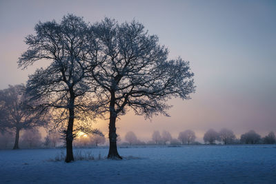 Bare tree against sky during winter