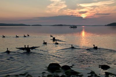 Scenic view of sunset over river