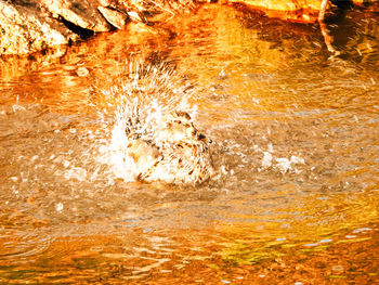 Full frame shot of water