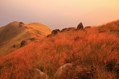 Scenic view of landscape against sky during sunset