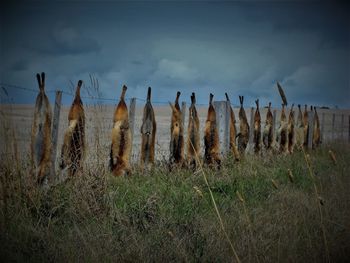 Scenic view of field against cloudy sky