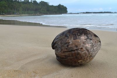 Close-up of rock on beach