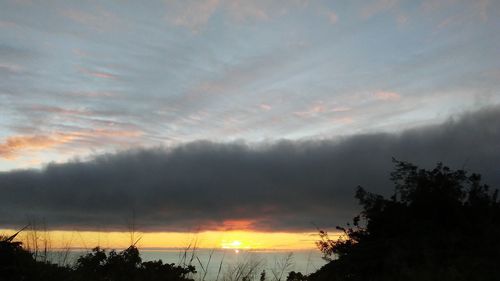 Low angle view of silhouette trees against dramatic sky