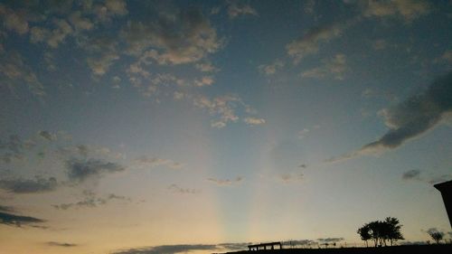 Low angle view of trees against sky