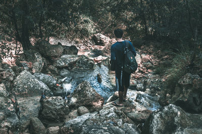 Rear view of man standing by rock in forest