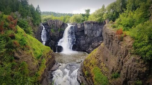 Scenic view of waterfall in forest