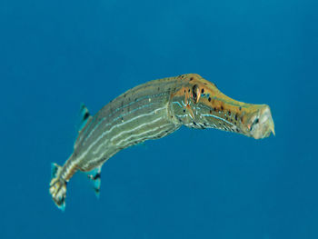 Low angle view of water against clear blue sky