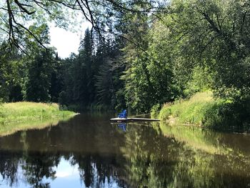 Scenic view of lake in forest