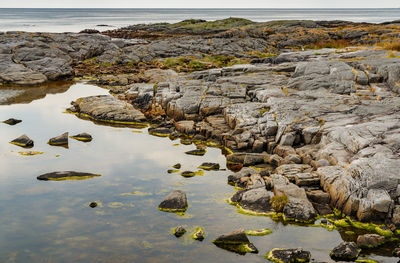 Scenic view of sea