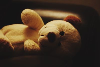 Close-up of stuffed toy