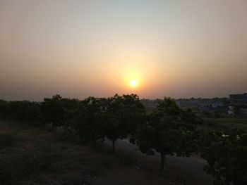 Trees against sky during sunset