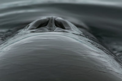 High angle view of water in sea