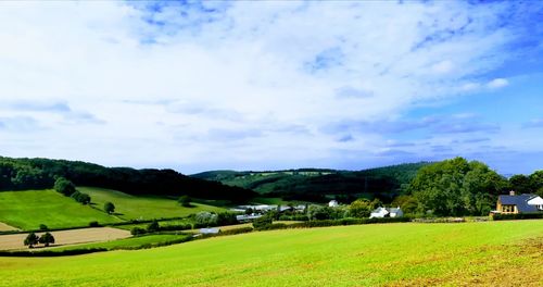 Scenic view of field against sky