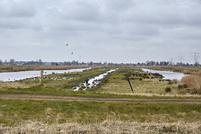 View of bird flying over field against sky