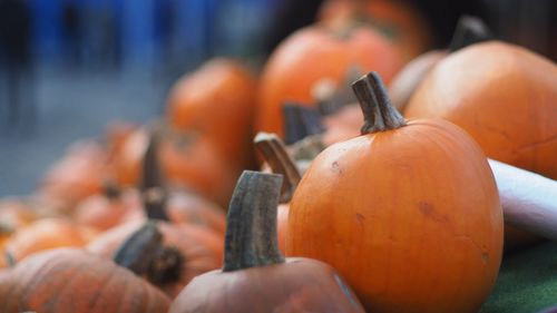 Close-up of pumpkins at market