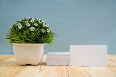 Close-up of potted plant on table