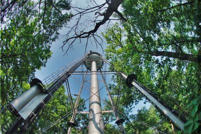 Low angle view of tree against sky