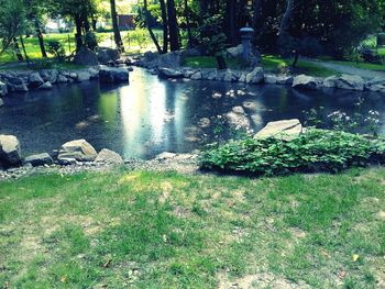 Pond in park