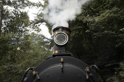 Steam train amidst trees in forest