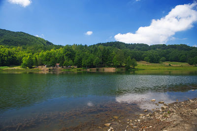 Scenic view of lake in forest against sky