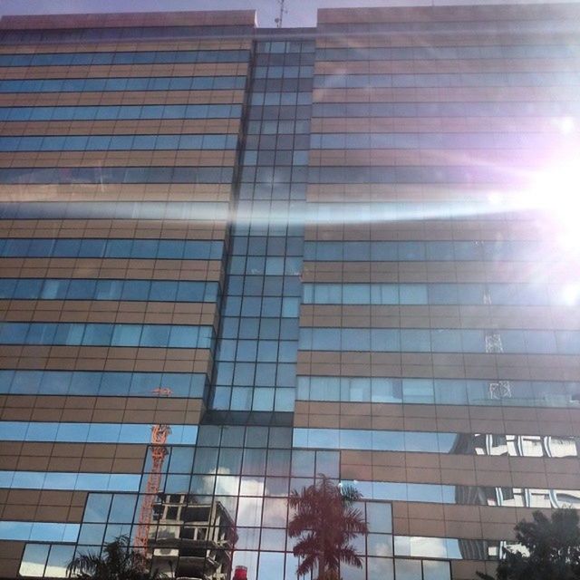 building exterior, architecture, built structure, low angle view, sun, city, glass - material, building, office building, sunbeam, modern, sunlight, window, reflection, lens flare, sky, tree, day, skyscraper, outdoors