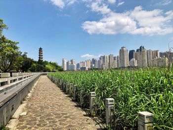 Footpath amidst buildings against sky