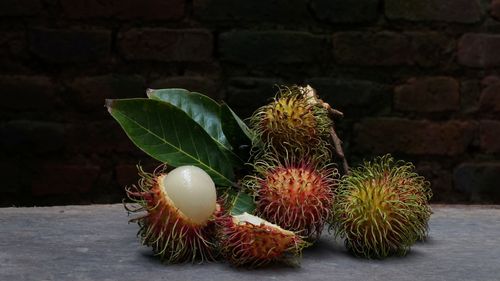 Close-up of fruit growing on wall