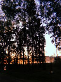 Low angle view of silhouette trees against sky at sunset