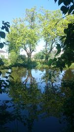 Reflection of trees in lake against sky