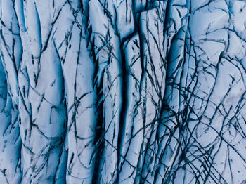 Full frame shot of bare trees during winter