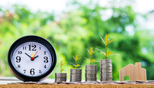 Close-up of clock on potted plant