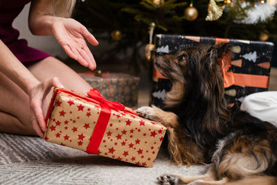 Midsection of woman holding dog