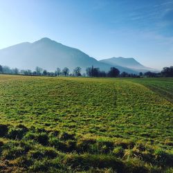 Scenic view of field against sky