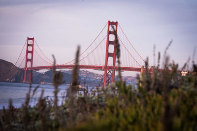 Golden gate bridge at golden hour