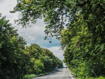 Road amidst trees against sky