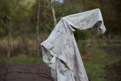 Close-up of wooden hanging on tree