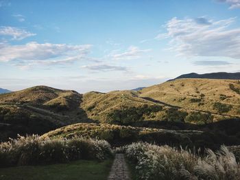 Pathway amidst pampas grass leading towards mountains against sky