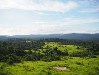 Scenic view of field against sky