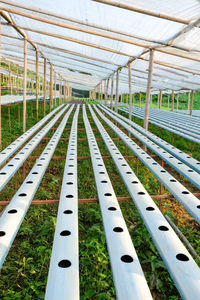 View of railroad tracks in greenhouse