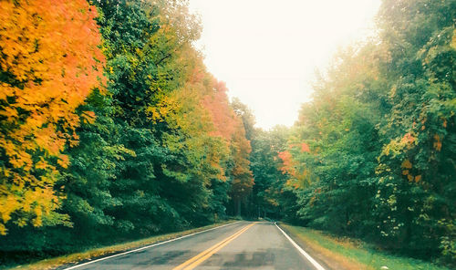 Road amidst trees against clear sky