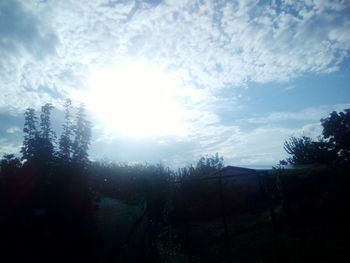 Silhouette of trees against sky