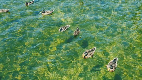 High angle view of water