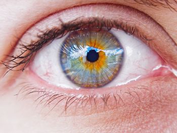 Extreme close-up portrait of woman eye