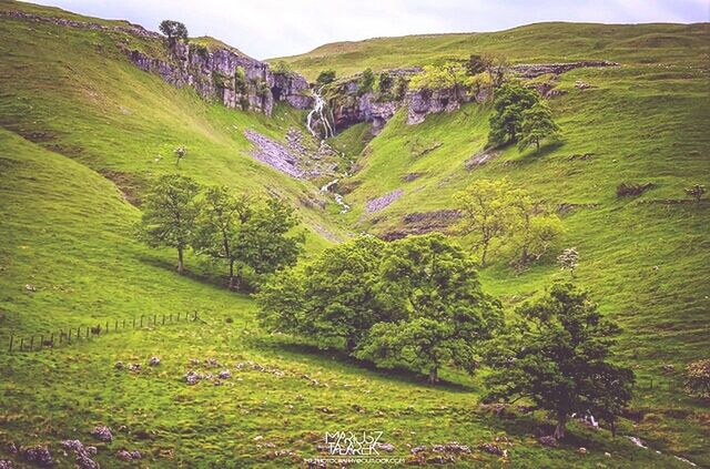 mountain, green color, landscape, grass, tranquil scene, scenics, tranquility, beauty in nature, nature, field, tree, high angle view, growth, hill, green, idyllic, lush foliage, mountain range, non-urban scene, rural scene