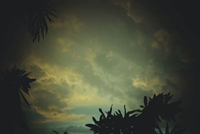 Low angle view of silhouette palm trees against sky