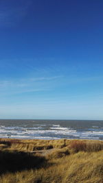 Scenic view of beach against blue sky