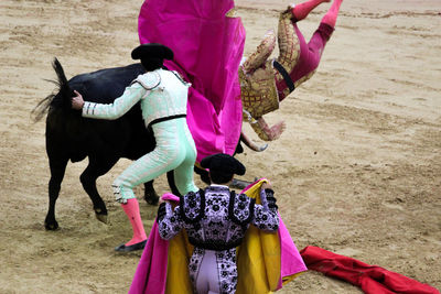 Woman riding horse on land